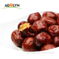 Agolyn frisches trockenes obst xinjiang rote dateln jujube